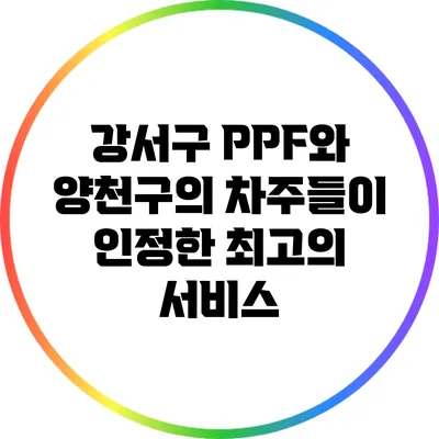 강서구 PPF와 양천구의 차주들이 인정한 최고의 서비스