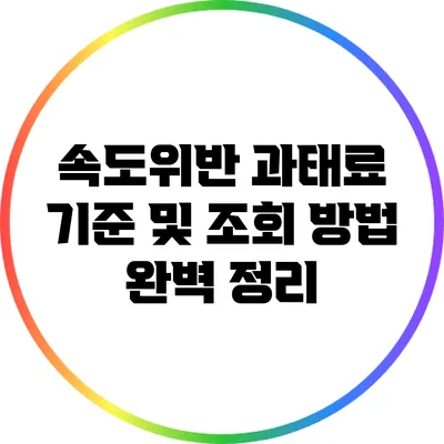 속도위반 과태료 기준 및 조회 방법 완벽 정리