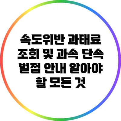 속도위반 과태료 조회 및 과속 단속 벌점 안내: 알아야 할 모든 것