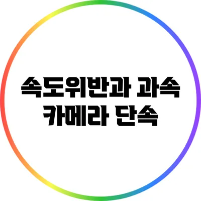 속도위반과 과속 카메라 단속
