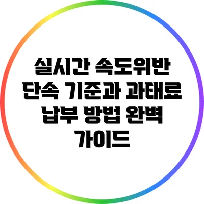 실시간 속도위반 단속 기준과 과태료 납부 방법 완벽 가이드