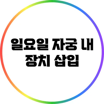 일요일 자궁 내 장치 삽입