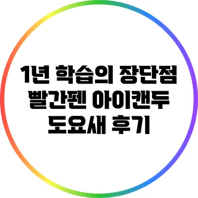 1년 학습의 장단점: 빨간펜 아이캔두 도요새 후기