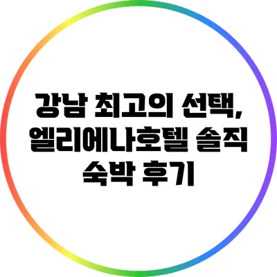 강남 최고의 선택, 엘리에나호텔 솔직 숙박 후기