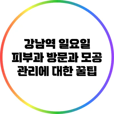 강남역 일요일 피부과 방문과 모공 관리에 대한 꿀팁