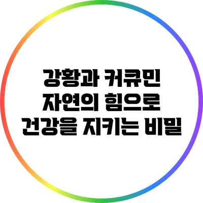 강황과 커큐민: 자연의 힘으로 건강을 지키는 비밀