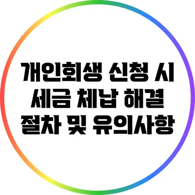 개인회생 신청 시 세금 체납 해결 절차 및 유의사항