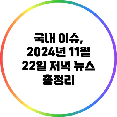 국내 이슈, 2024년 11월 22일 저녁 뉴스 총정리