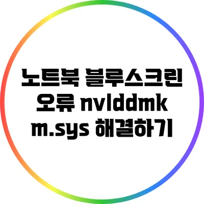 노트북 블루스크린 오류 nvlddmkm.sys 해결하기
