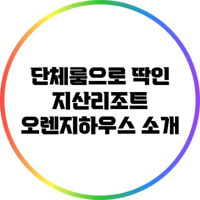 단체룸으로 딱인 지산리조트 오렌지하우스 소개