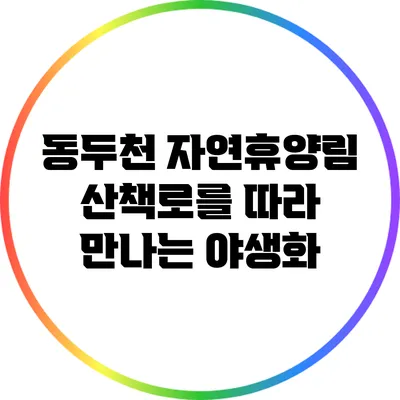 동두천 자연휴양림 산책로를 따라 만나는 야생화