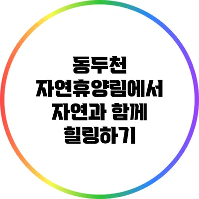 동두천 자연휴양림에서 자연과 함께 힐링하기