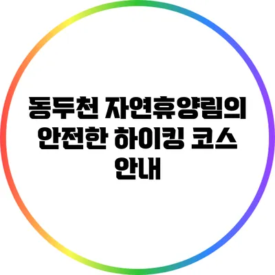 동두천 자연휴양림의 안전한 하이킹 코스 안내