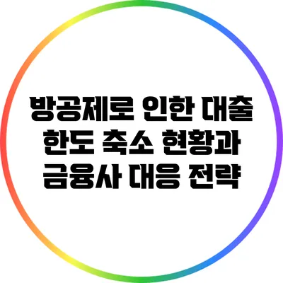방공제로 인한 대출 한도 축소 현황과 금융사 대응 전략