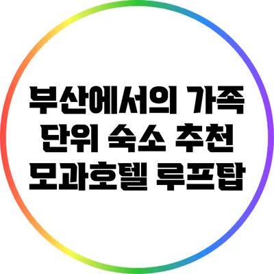 부산에서의 가족 단위 숙소 추천: 모과호텔 루프탑