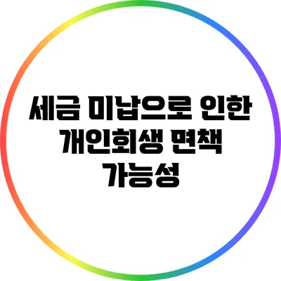 세금 미납으로 인한 개인회생 면책 가능성