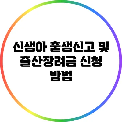 신생아 출생신고 및 출산장려금 신청 방법