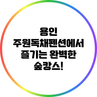 용인 주원독채펜션에서 즐기는 완벽한 숲캉스!