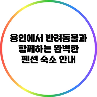 용인에서 반려동물과 함께하는 완벽한 펜션 숙소 안내