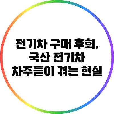 전기차 구매 후회, 국산 전기차 차주들이 겪는 현실