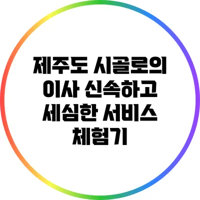제주도 시골로의 이사: 신속하고 세심한 서비스 체험기
