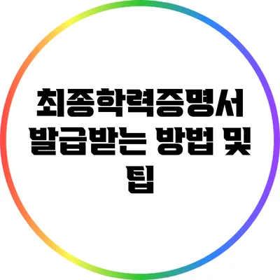 최종학력증명서 발급받는 방법 및 팁