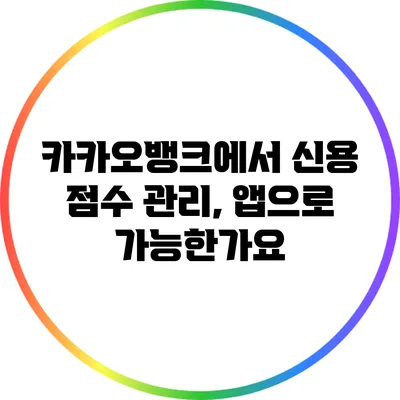 카카오뱅크에서 신용 점수 관리, 앱으로 가능한가요?