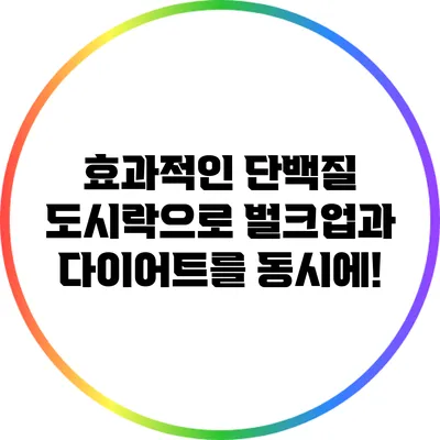 효과적인 단백질 도시락으로 벌크업과 다이어트를 동시에!