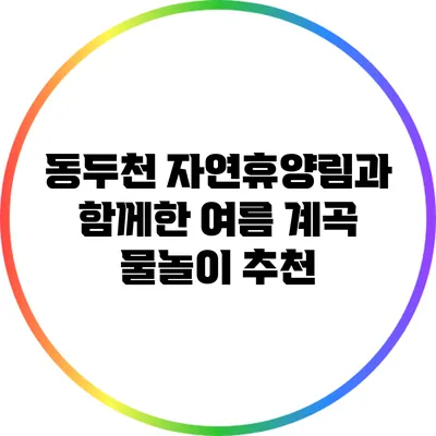 동두천 자연휴양림과 함께한 여름 계곡 물놀이 추천