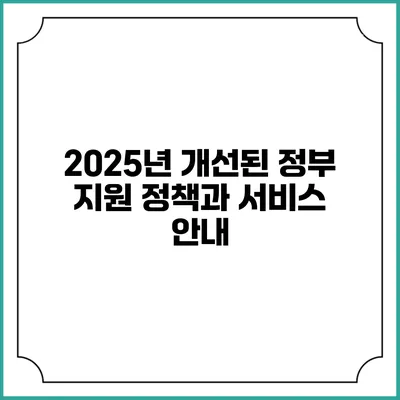 2025년 개선된 정부 지원 정책과 서비스 안내