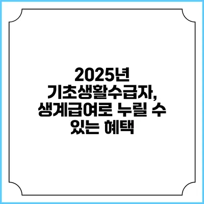 2025년 기초생활수급자, 생계급여로 누릴 수 있는 혜택