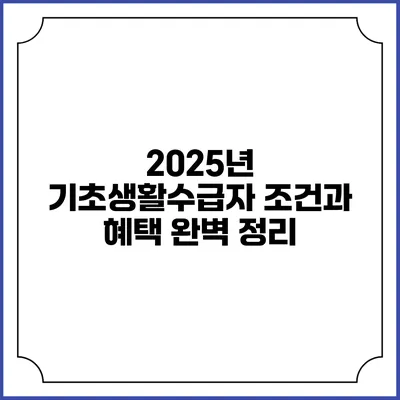 2025년 기초생활수급자 조건과 혜택 완벽 정리