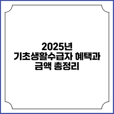 2025년 기초생활수급자 혜택과 금액 총정리