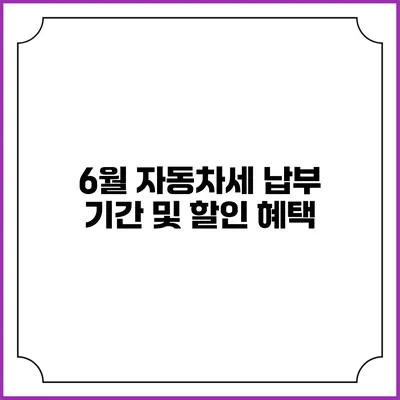 6월 자동차세 납부 기간 및 할인 혜택