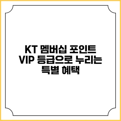 KT 멤버십 포인트 VIP 등급으로 누리는 특별 혜택