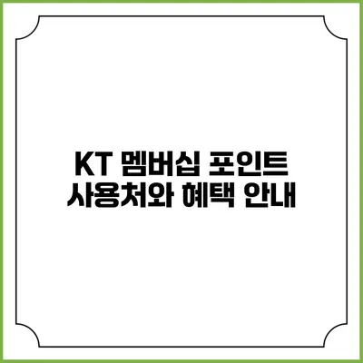 KT 멤버십 포인트 사용처와 혜택 안내