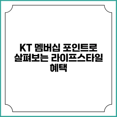 KT 멤버십 포인트로 살펴보는 라이프스타일 혜택