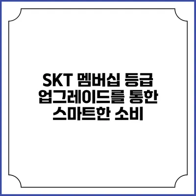 SKT 멤버십 등급 업그레이드를 통한 스마트한 소비
