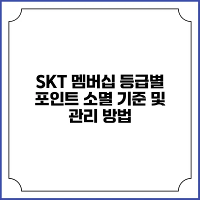 SKT 멤버십 등급별 포인트 소멸 기준 및 관리 방법
