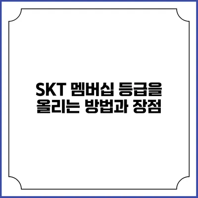 SKT 멤버십 등급을 올리는 방법과 장점