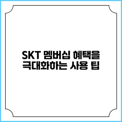 SKT 멤버십 혜택을 극대화하는 사용 팁