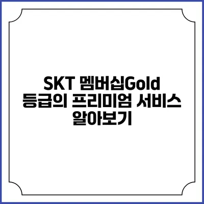 SKT 멤버십Gold 등급의 프리미엄 서비스 알아보기