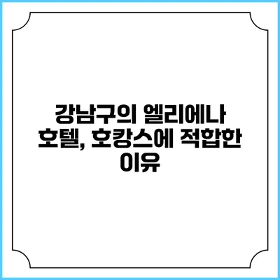 강남구의 엘리에나 호텔, 호캉스에 적합한 이유