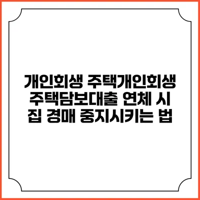 개인회생 주택개인회생 주택담보대출 연체 시 집 경매 중지시키는 법