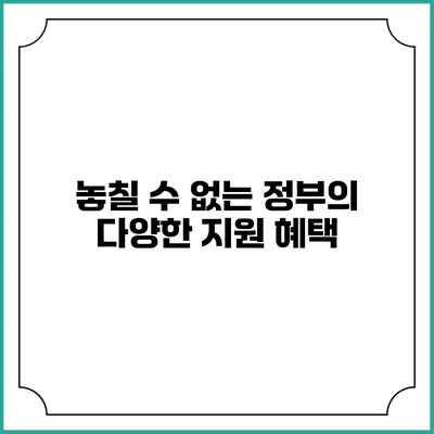 놓칠 수 없는 정부의 다양한 지원 혜택