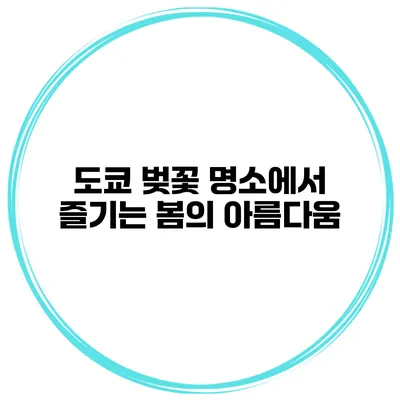 도쿄 벚꽃 명소에서 즐기는 봄의 아름다움