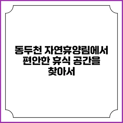 동두천 자연휴양림에서 편안한 휴식 공간을 찾아서