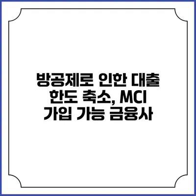 방공제로 인한 대출 한도 축소, MCI 가입 가능 금융사