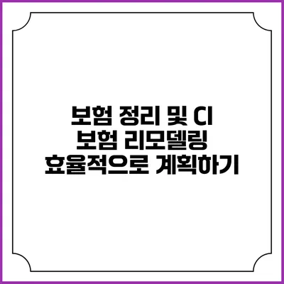 보험 정리 및 CI 보험 리모델링 효율적으로 계획하기