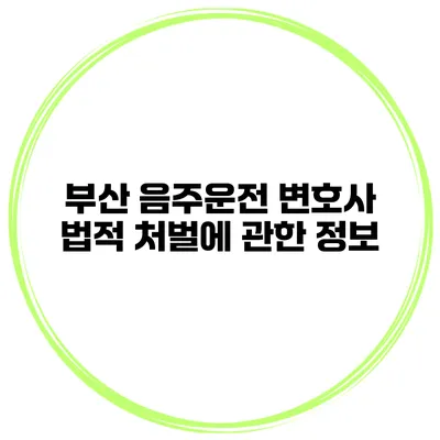 부산 음주운전 변호사 법적 처벌에 관한 정보